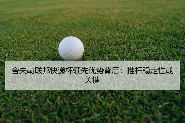 she-fu-lei-lian-bang-kuai-di-bei-ling-xian-you-shi-bei-hou-tui-gan-wen-ding-xing-cheng-guan-jian-2-522.jpg