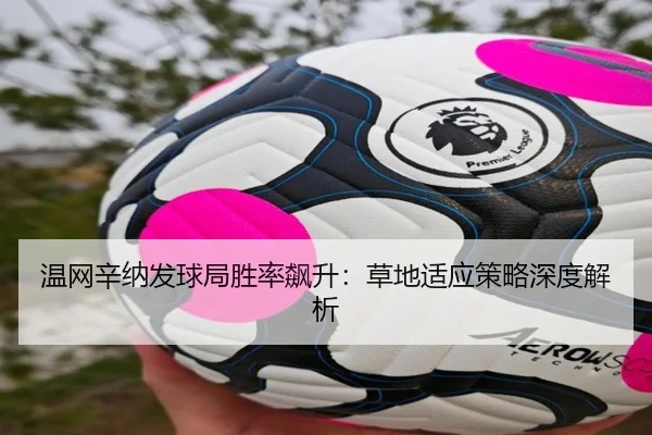 温网辛纳发球局胜率飙升：草地适应策略深度解析