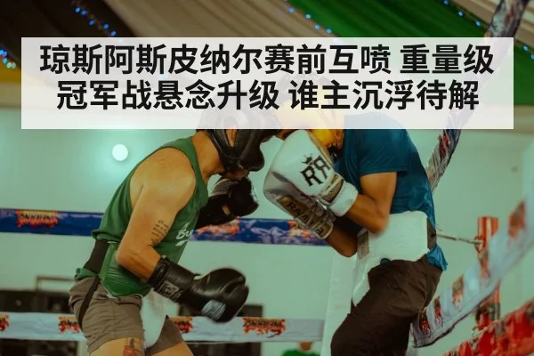 琼斯阿斯皮纳尔赛前互喷 重量级冠军战悬念升级 谁主沉浮待解